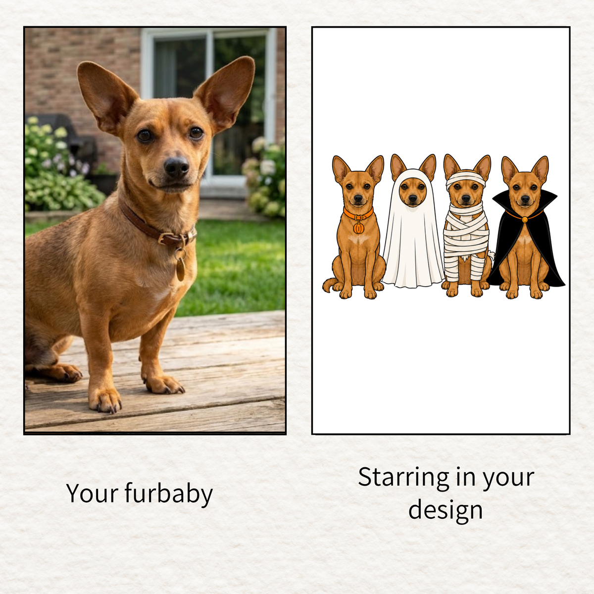 Custom Halloween Pillow Featuring Your Pet – 1–4 Pets, Mix & Match Costumes